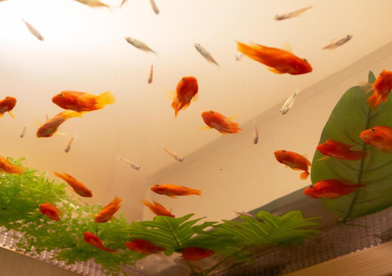Hotel Eldia Japanese Modern (Adults Only) Gyoda Buitenkant foto